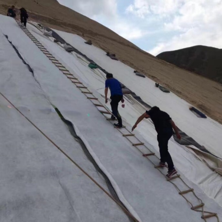 density Polyethylene Plastic Geotextile and Geonet 3D Composite Drainage Net Ideal
