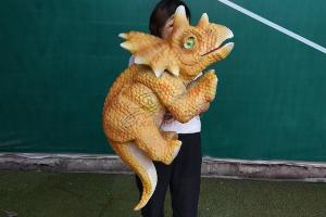 Buy cheap Light Realistic Dinosaur Puppet , Customized Realistic Dinosaur Hand Puppet product
