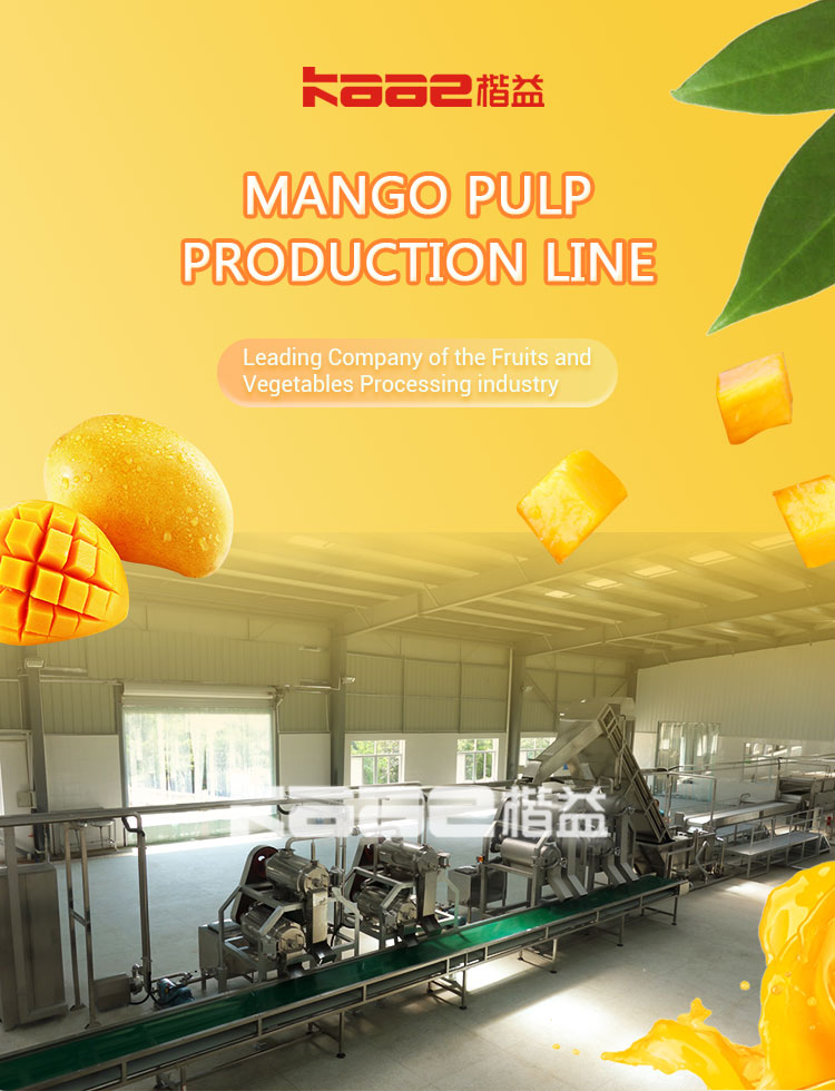 Automatic Mango Juice Production Line SS304 All Fruit Juice Making Machine