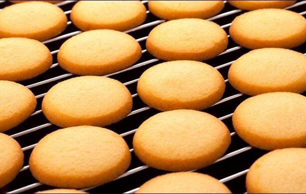 Oreo Chocolate chips cookie machine Wire cutting cookies making machine cookies depositor machine