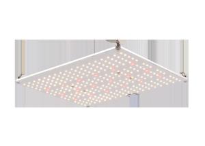 Customized Spectrum 3000K 660nm Quantum Board Light