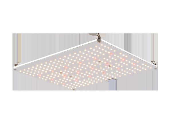 Quality Customized Spectrum 3000K 660nm Quantum Board Light for sale