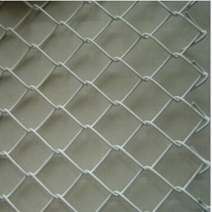 vinyl fence,PVC coated Chain Link Fence, Commercial fencing