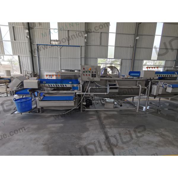 Salad Processing Made Easy Vegetable Washing Machine for Baby Spinach Lettuce Cabbage