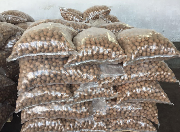 China Factory New Product Walnut With Cheaper Price and High Quality