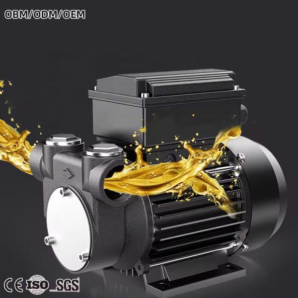 Small Automatic 12V/24V Electric Diesel Oil Pump Customizable OEM & ODM Supported