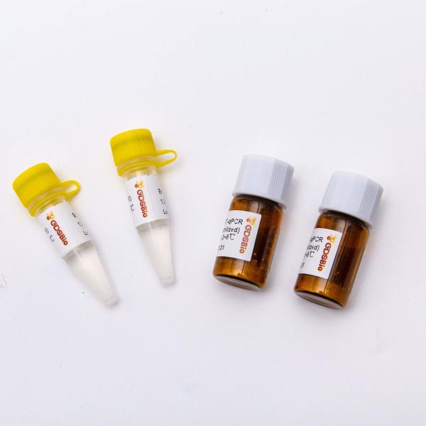 Quality 200rxn Lyophilized 2X One Step RT QPCR Master Mix V5007L for sale