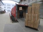 40 Feet Container Loading Supervision with English Report language