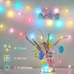 LED String Lights 16 Color Changing Globe Balls Indoor String Light with Remote