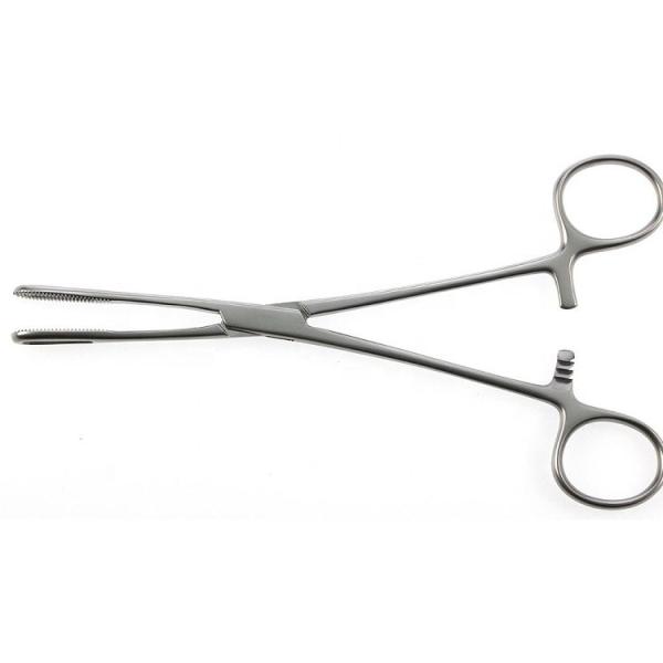 Surgical Hospital Tools And Equipments Medical Sponge Holding Forceps