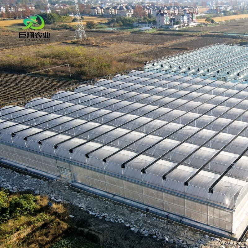 Shipping Container Leafy Vegetable Greenhouse