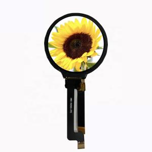 1.28 Inch IPS TFT Round LCD Displays Module For Smart Watch