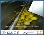 CE Apple Processing Line with Automatic Disinfection Liquid Concentration