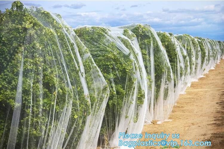 100% new HDPE insect mesh / anti bird net for apple trees,greenhouse anti insect net for plant, agriculture net Anti-ins