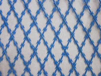 A piece of blue color PVC coating welded razor wire on the white background.