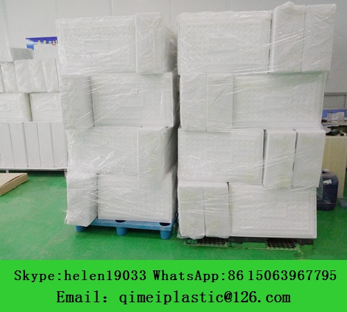 Disposable Blister Medicine Vial Packing Tray Customizable for Customer Requirements