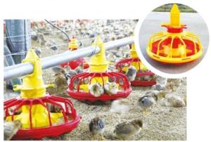 Buy cheap Automatic Feeding System For Broilers And Layers product