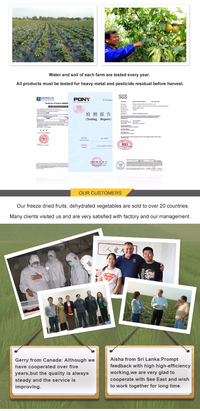 New products 2016 Hot snack freeze dried fuji apple chips with free sample