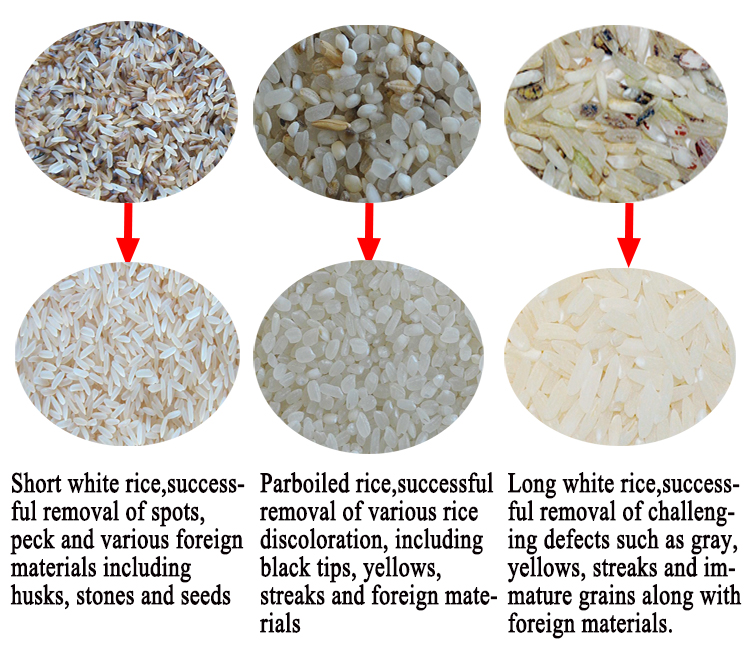 Small CCD Peanut Pulses Color Sorting Machine For RiceCustomizable