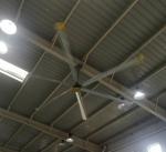 Natural Breeze System with Large Industrial HVLS Ceiling Fan