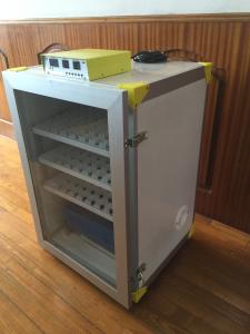 China 200W Baby Bird Egg Incubator Automatic Hatching Machine For Chicken Eggs 100 on sale