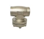 Cf8 / Cf3 Cryogenic Check Valve Straight Through Check Valve