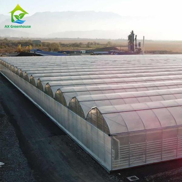 Quality Multispan 4 Season Plastic Film Insect Net Greenhouse For Cucumbers for sale
