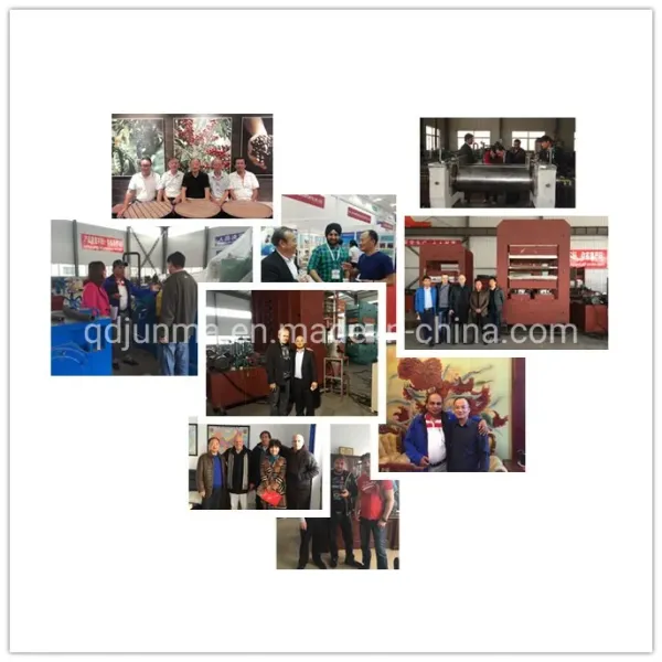 Qingdao Shun Cheong Batch-off Cooler factory setup