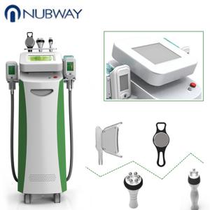 China Cryolipolysis fat freeze slimming machine  body shaping freeze  fat machine on sale