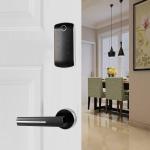 Security Password Door Lock Digital Keyless Smart Lock with TT APP
