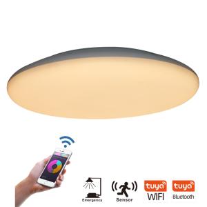 China Motion Activated LED Ceiling Lights on sale