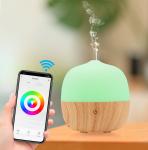 Bedroom Quiet Wifi Smart 100ml Remote Control Humidifier