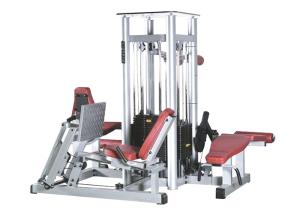 Complete Multi Purpose Weight Machine Elegant Appearance Ergonomics 