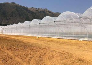 China Agriculture Polytunnel Greenhouse on sale