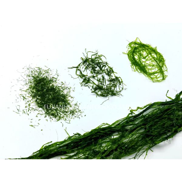 Quick-Rehydrate Enteromorpha Prolifera Flakes Bright Green 100g Pouch for Broths