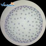 Plant Cell Botany Thin Microscope Slides 20pcs EU Standard Glass Material