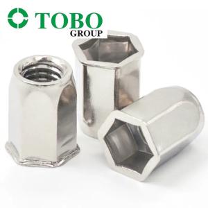 China Stainless Steel A2 A4 5mm Hollow UNC Reduced Head Full Hex Threaded Rivet Nuts on sale