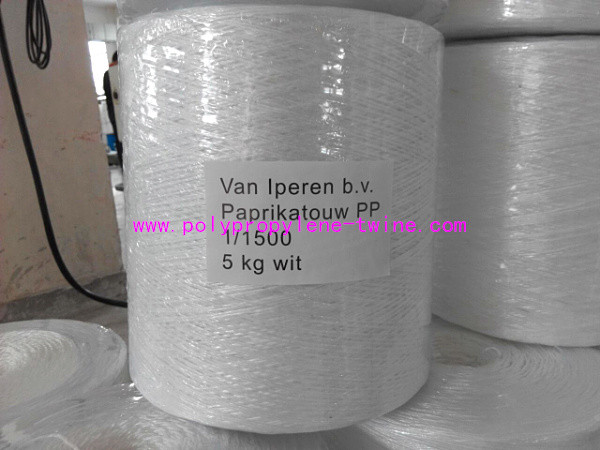 9000D Tomato Tying Twine