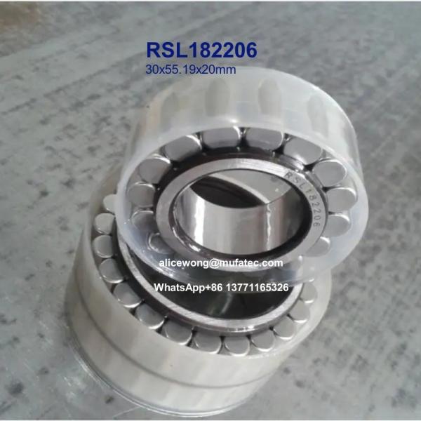 Quality RSL182206 printing bearings full complement roller bearings 30x55.19x20mm for sale