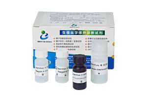 Buy cheap Sperm DNA Fragment Assay Kit (Acridine Orange SCSA Method) product