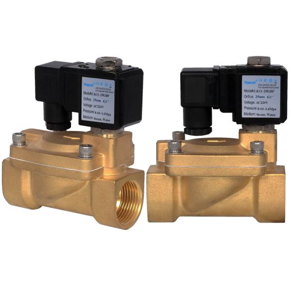 NSF / NPT / G Thread 12v Electric Solenoid Valve , 2 Way 2 Port Solenoid Relief Valve
