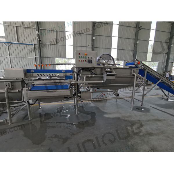 Salad Processing Made Easy Vegetable Washing Machine for Baby Spinach Lettuce Cabbage