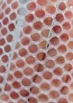 Green Plastic Mesh Netting 200-400gsm Anti Hail Anti Mole Net