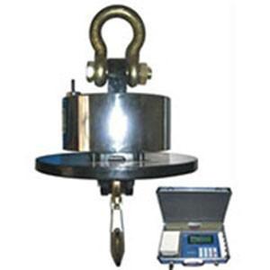 Quality Wireless Hanging scale/WCS-2/with printing/high temprature for sale
