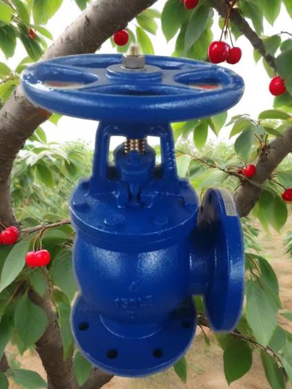 Quality ANSI angle valve for sale
