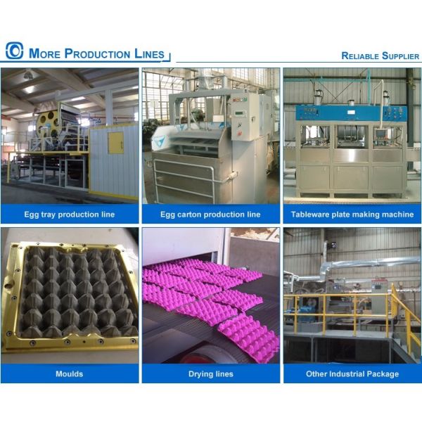 Waste Paper Recycling Egg Box Forming Machine 440V ROHS Certified