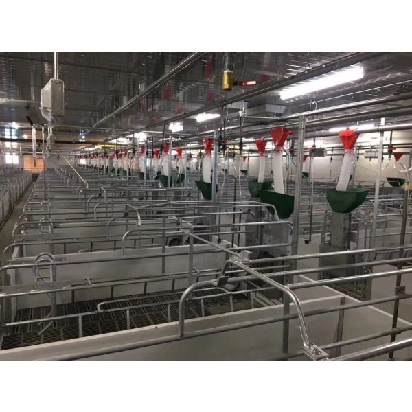 Hot Galvanized Prefabricated Steel Structure Pig House with Bolted Connection for Easy Installation