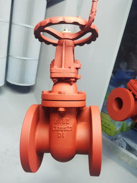Quality Versatile Resilient Wedge Gate Valve Compliant With JIS Standard for sale
