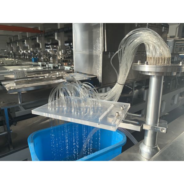 Flat Plate Crystal Facial Mask/Eye Patch Blister Packing Machine 25 Times/Min