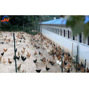 China Q235B/Q345B Low Carbon Steel Steel Structure Chicken Coop Prefabricated Chicken Houses on sale